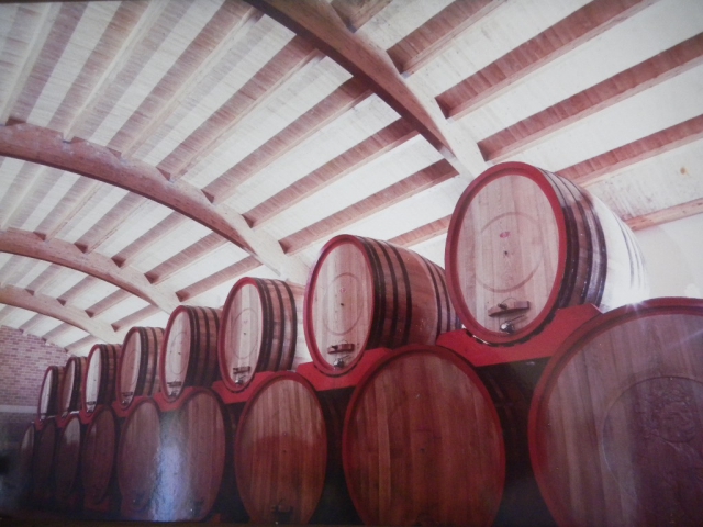 Oak barrels garbellotto, capacity 35 hl