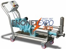 Elettropompa serie mn 58