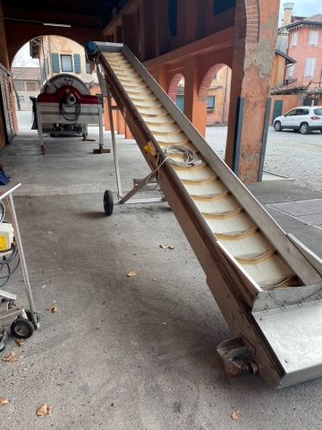 Conveyor belt for grapes