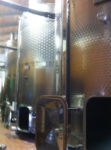 Vinificatore/fermentino inox usato hl 100