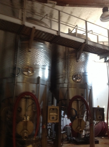 Vinificator-fermentation tank capacity hl 180, stainless steel