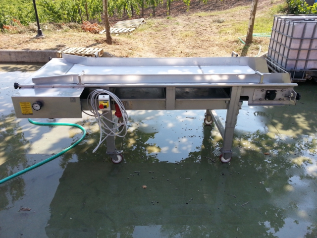 Sorting belt for whole grapes