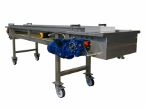 Nastro di cernita uva 