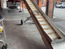 Conveyor belt for grapes