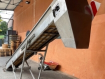Nastro trasportatore per uva