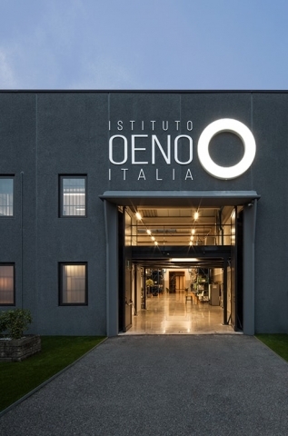 Consulenza e servizi per le cantine moderne