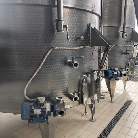 Vinificatori 100 hl in acciaio inox
