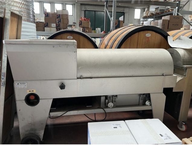 Diraspatrice enoveneta