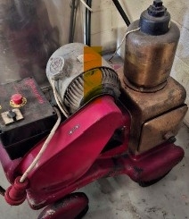 Pompa manzini superba